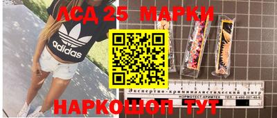 винт Шахты