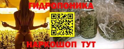 винт Шахты