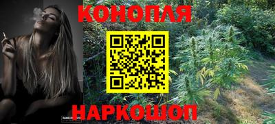 метадон Шелехов