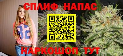 винт Шахты