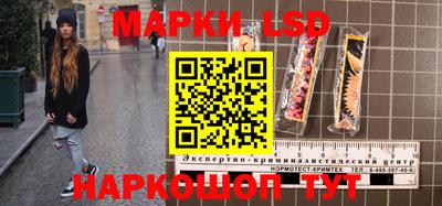 винт Шахты